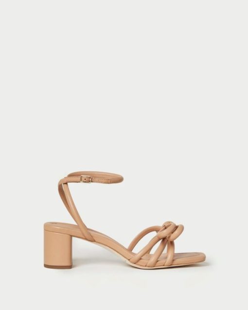 Fashionara.shop432687c66c 1