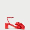 Fashionara.shopb0aceacef6 4